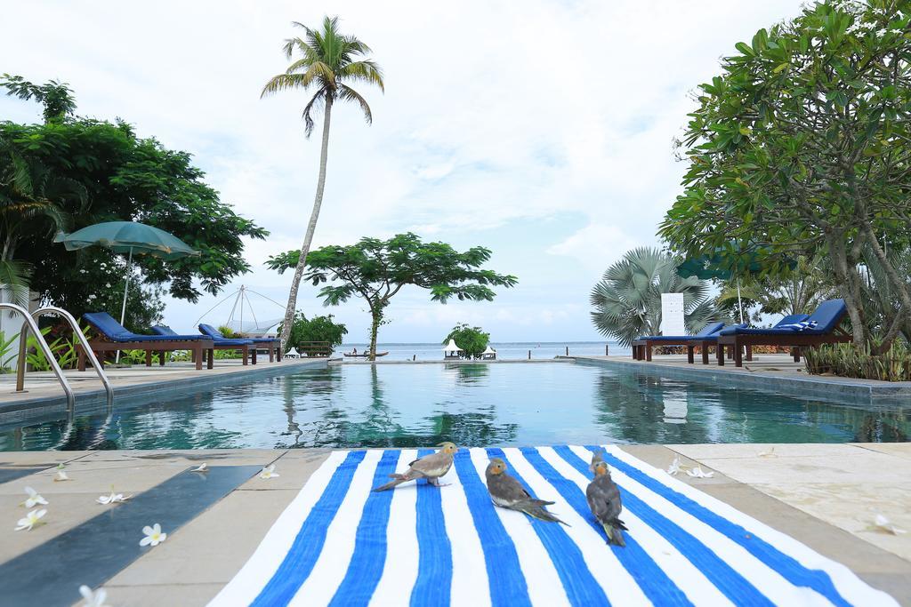 Deshadan Backwater Resort - The best sunrise view Alappuzha Exterior foto